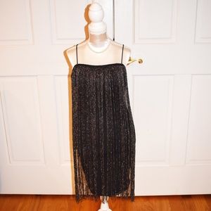 Bear Dance Bodycon Fringe Overlay Sparkle Dress